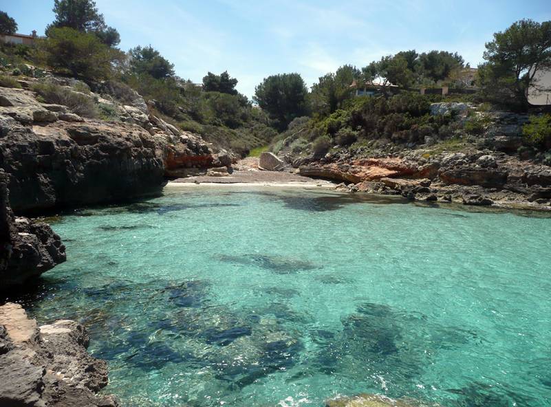spiagge maiorca