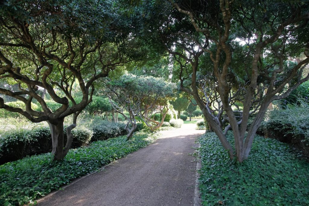 Giardini reali di Marivent