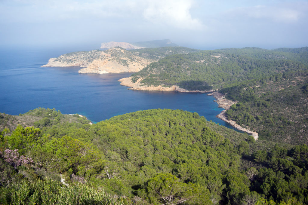 isola di Cabrera