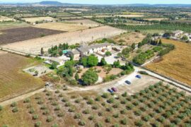Agroturismo Finca Son Valls